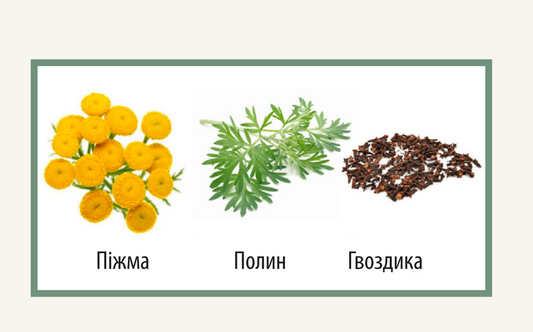 ТРІЙЧАТКА