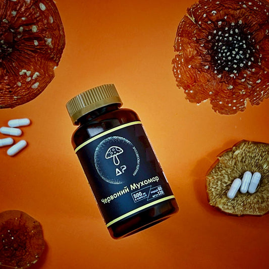 Мухомор червоний (Amanita muscaria)